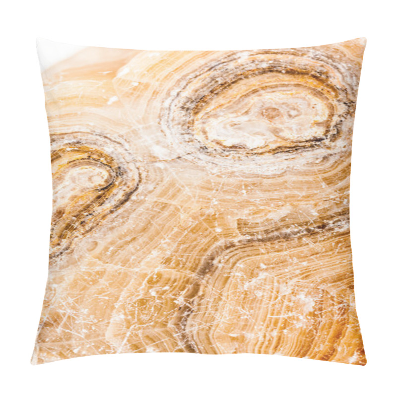 Personality  Ancient Petrified Wood Closeup Pillow Covers