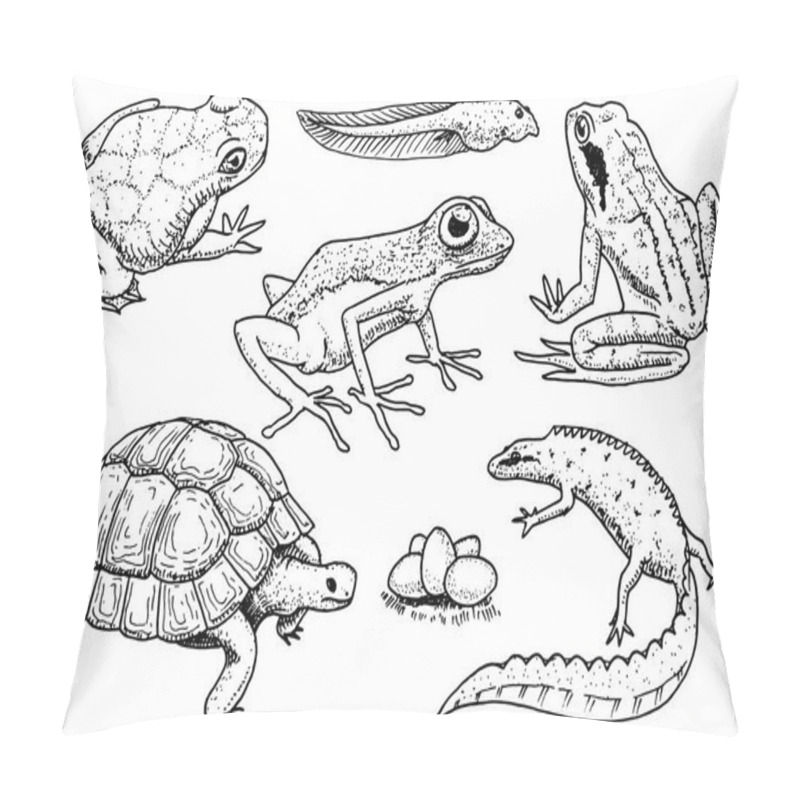 Personality  Reptiles And Amphibians Set. Pet And Tropical Animals. Wildlife And Frogs, Lizard And Turtle, Chameleon And Anuran Engraved Hand Drawn In Old Vintage Sketch. Vector Illustration. Exotic Zoology. Pillow Covers