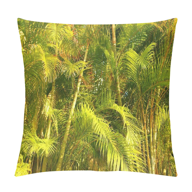 Personality  Chrysalidocarpus Lutescens Palm Trees Jungle Pillow Covers