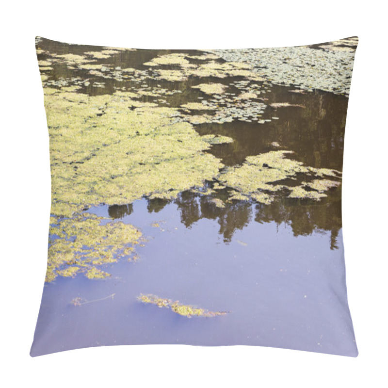 Personality  Closeup Of An Algal Bloom In A Small Body Of Freshwater Suffering From Severe Eutrophication. Pillow Covers