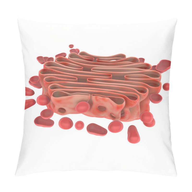 Personality  Golgi Apparatus Pillow Covers