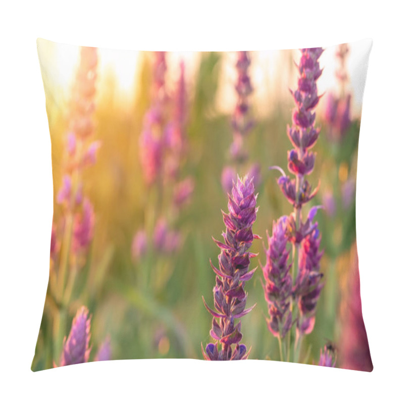 Personality  Clary Sage Plant In Garden Pillow Covers