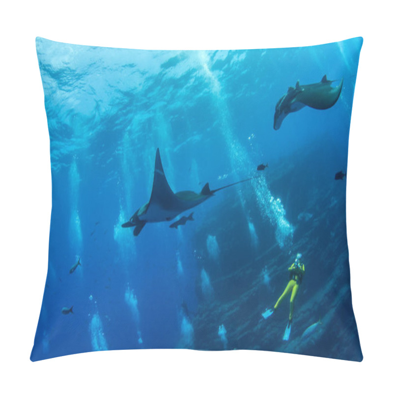 Personality  Manta Ray At Islas Revillagigedos, Mexico Pillow Covers