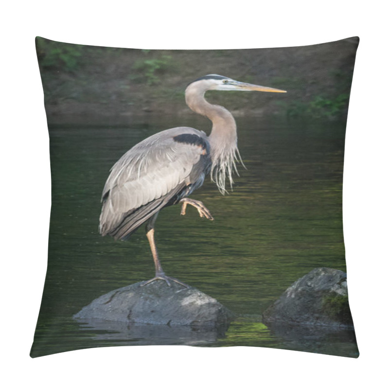 Personality  Familiar Pose For The Great Blue Heron As It Stands On One Leg Perched On A Stone In Mid-river Pillow Covers