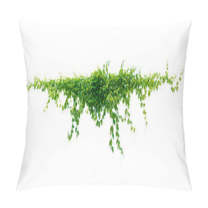 Personality  Leaf Vine Isolates On A White Background Pillow Covers