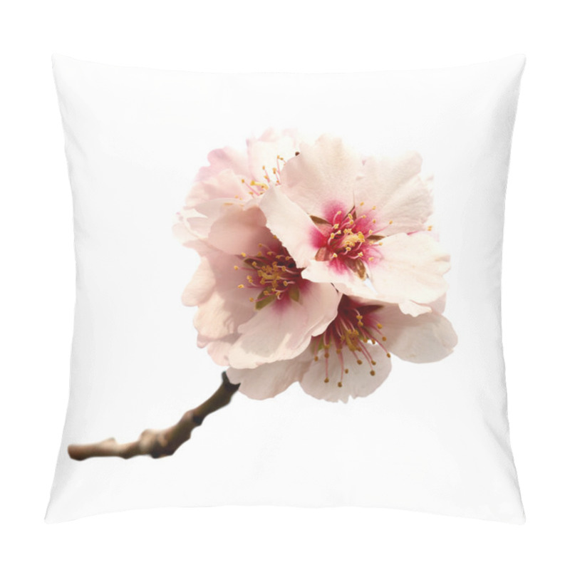 Personality  Almond Tree Pink Flowers Pillow Covers