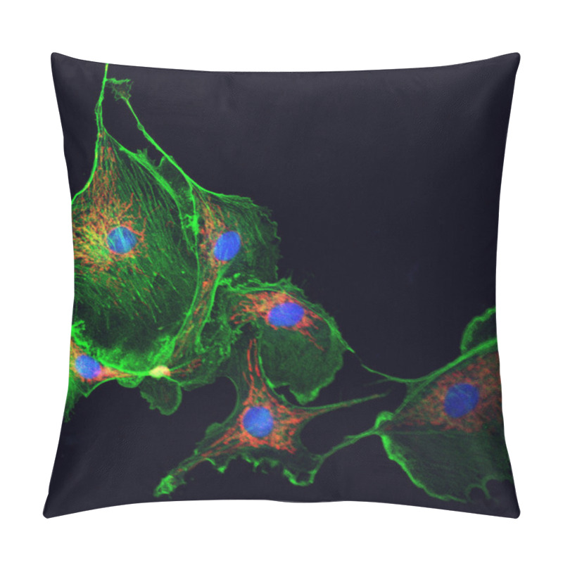 Personality  Cell Cytoskeleton Pillow Covers