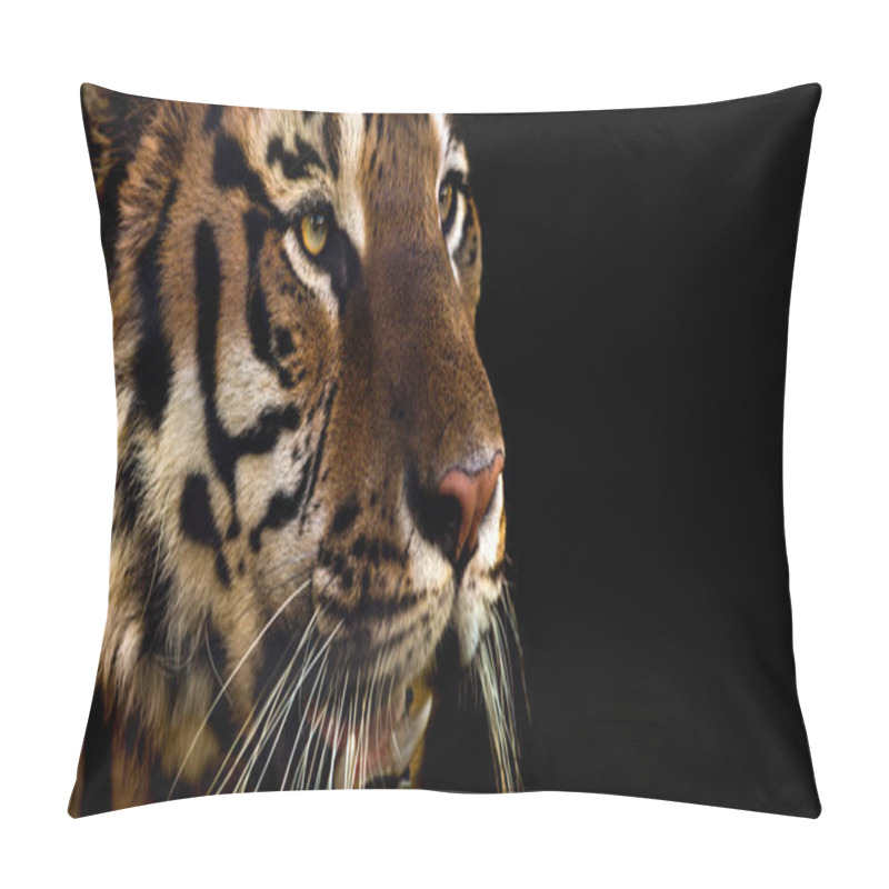 Personality  Wild Siberian Tiger On Nature, Closeup Horizontal Photo Pillow Covers