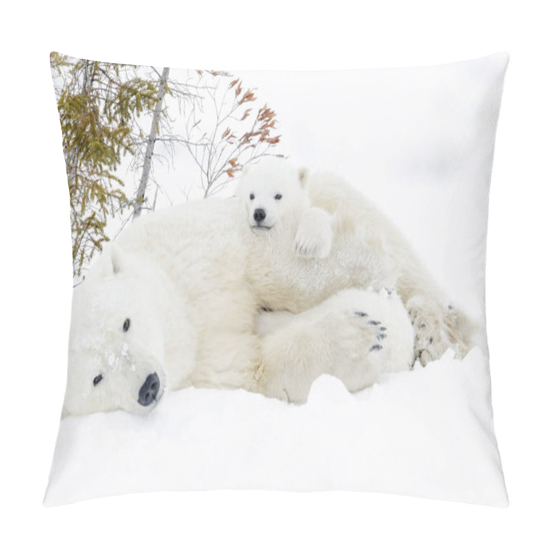 Personality  Polar Bear Mother (Ursus Maritimus) With Two Cubs, Wapusk National Park, Manitoba, Canada Pillow Covers