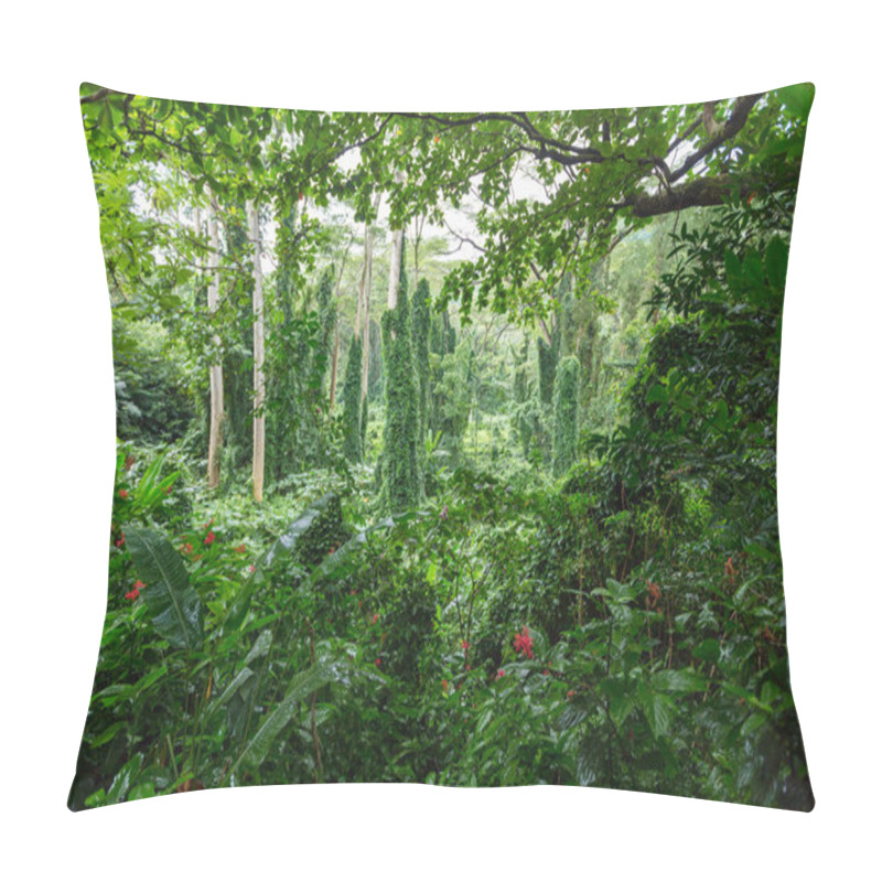 Personality  Dense Verdant Green Tropical Rainforest Vegetation Pillow Covers