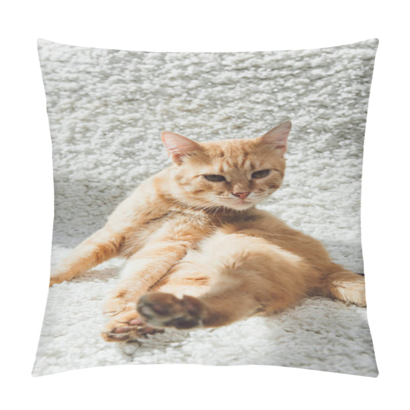 Personality  Adorable Funny Red Cat Sitting On White Carpet And Looking At Camera Pillow Covers