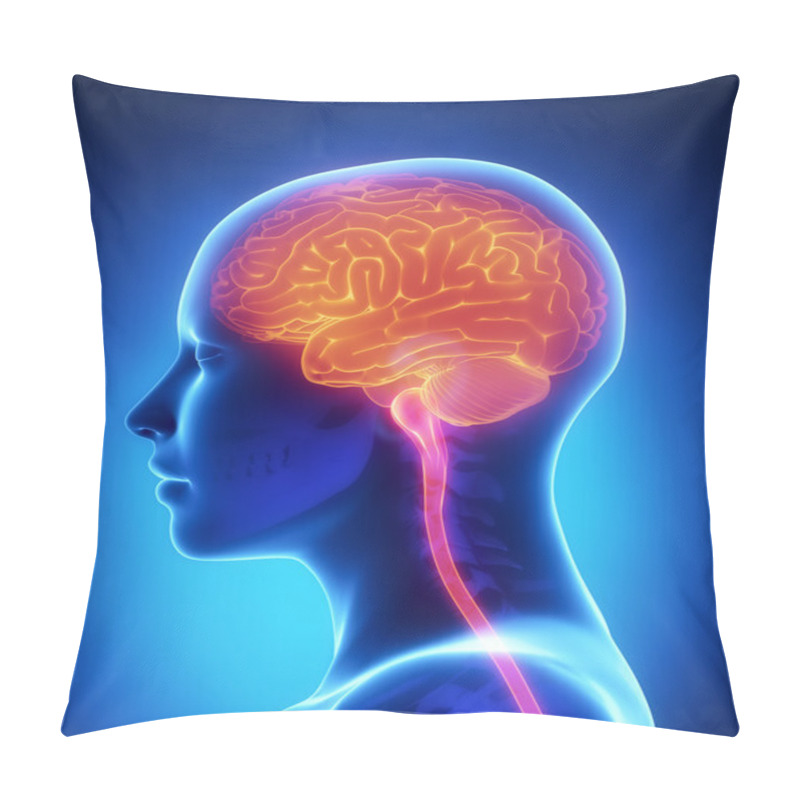 Personality  Female Brain Anatomy Lateral View Pillow Covers