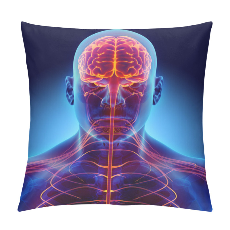 Personality  3D Illustration Male Nervous System. Pillow Covers