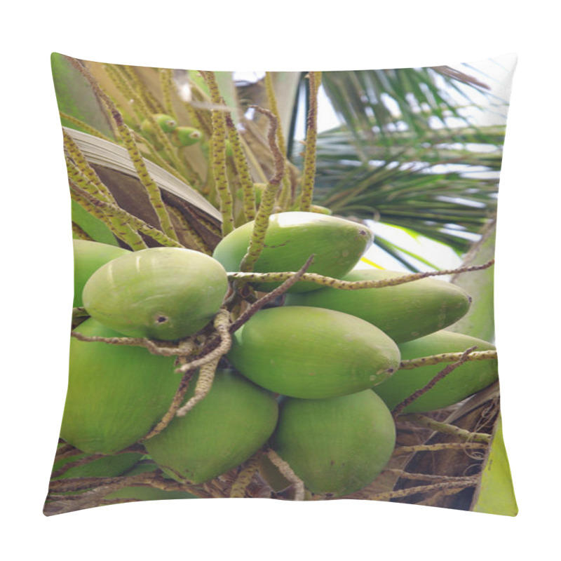 Personality  Coconut Tree 2 Pillow Covers