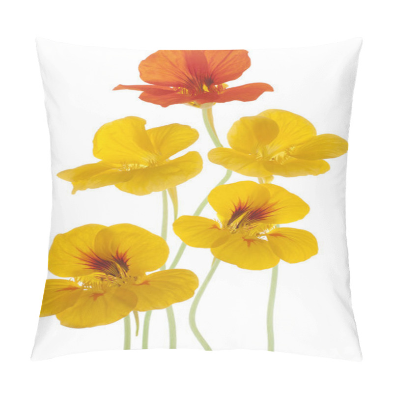 Personality  Nasturtium Pillow Covers