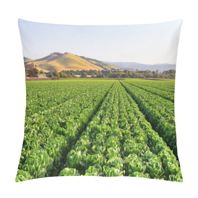 Personality  Lettuce Field In Salinas Valley Pillow Covers