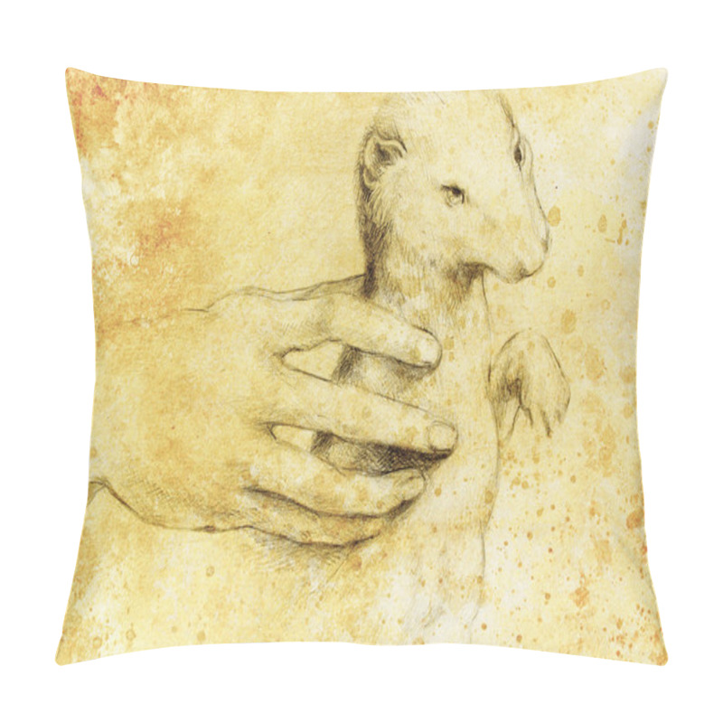 Personality  Drawing According Leonaqrdo DaVinci , Detail With Hand Touching Stoat Pillow Covers