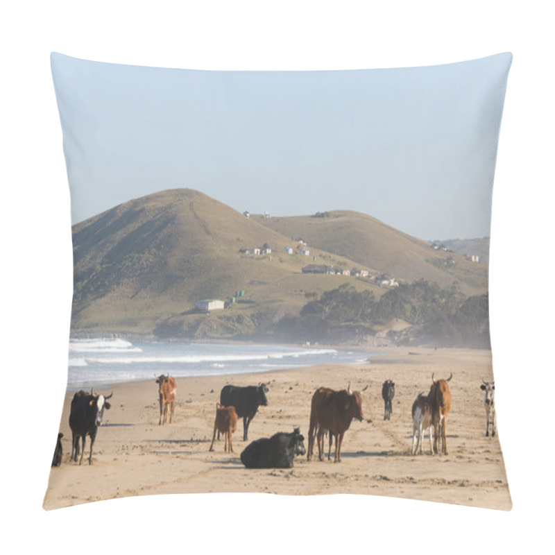 Personality  Nguni Cow At The Seaside Pillow Covers