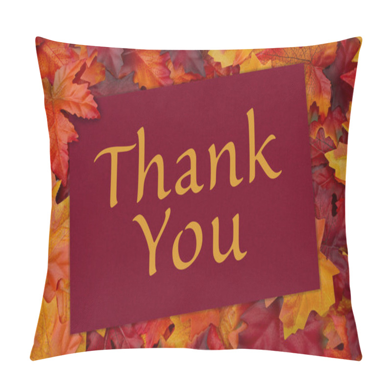 Personality  Thank You Note Pillow Covers