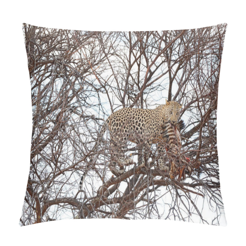 Personality  Leopard On The Tree With Catch, Animal Behaviour. Big Cat Feeding Young Zebra, Etosha National Park In The Africa. Wildlife Scene From Nature. African Leopard Kill Zebra. Safari In Namibia. Pillow Covers