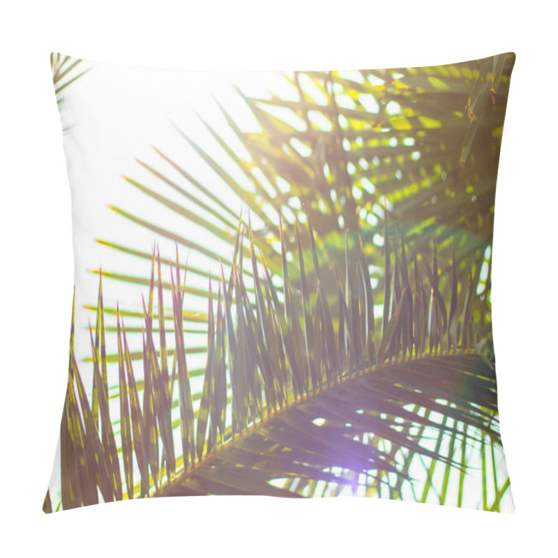 Personality  Palm Leaves Against The Sky. Defocused Abstract Tropical Background, Soft Light. Pillow Covers