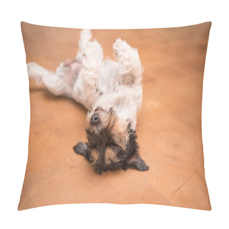 Personality  Dog Laying Upside Down On Back. Naughty Jack Russell Terrier Dog Pillow Covers