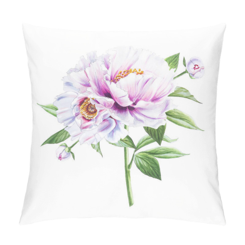 Personality  White Peony Flowers Illustration On White Background Pillow Covers