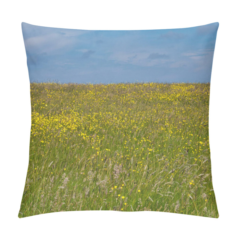 Personality  Wild Flowers And Grasses In A Field In Antrim, Northern Ireland, UK - Taken On A Sunny Day In Summer With A Blue Sky And White Clouds Pillow Covers