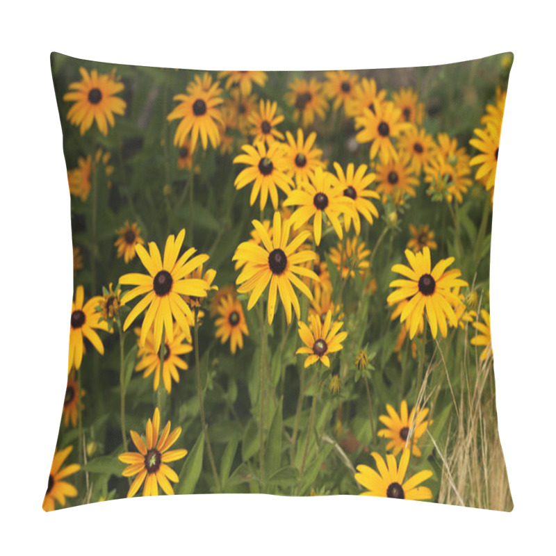 Personality  A Closeup Shot Of Cute Black-eyed Susans Under The Sunlight Pillow Covers