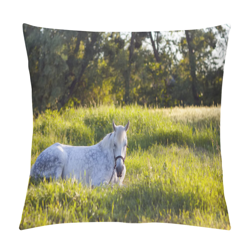 Personality  Beautiful  White Horse Lying In Green Grass Pillow Covers