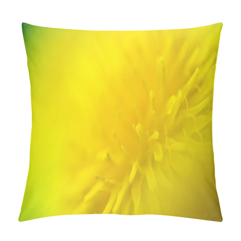 Personality  Dandelion Macro Photo - Close Up Nature Flower Pillow Covers