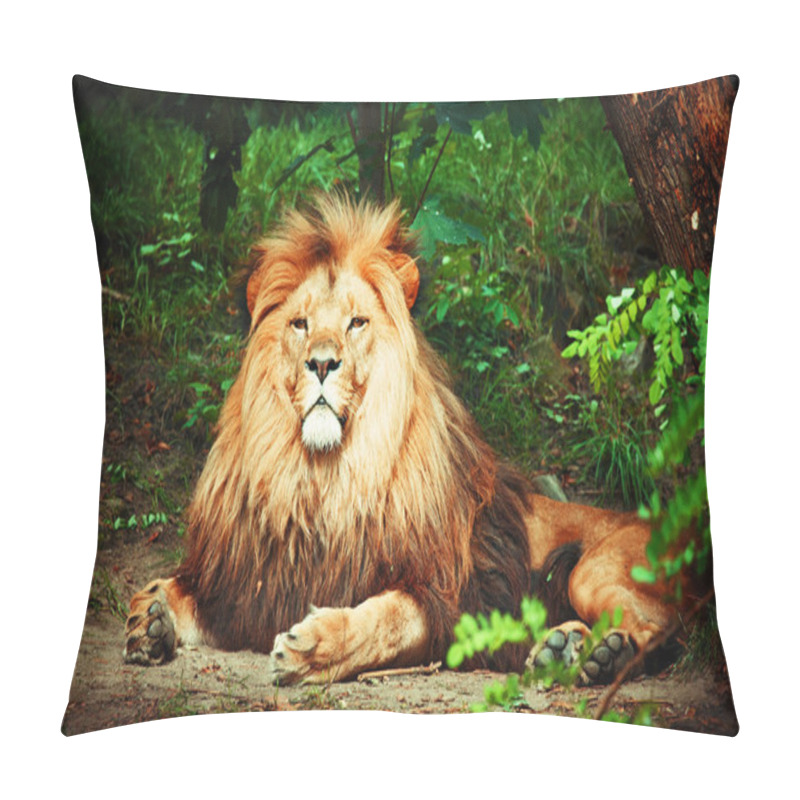 Personality  Magnificent Lion Pillow Covers