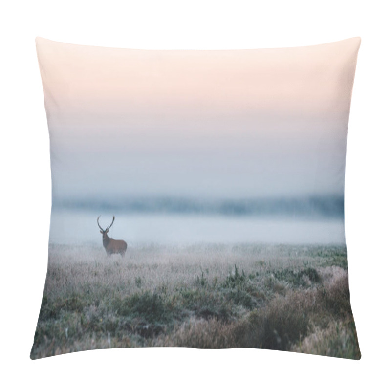 Personality  Red Deer With Antlers On Foggy Field The In Belarus. Pillow Covers