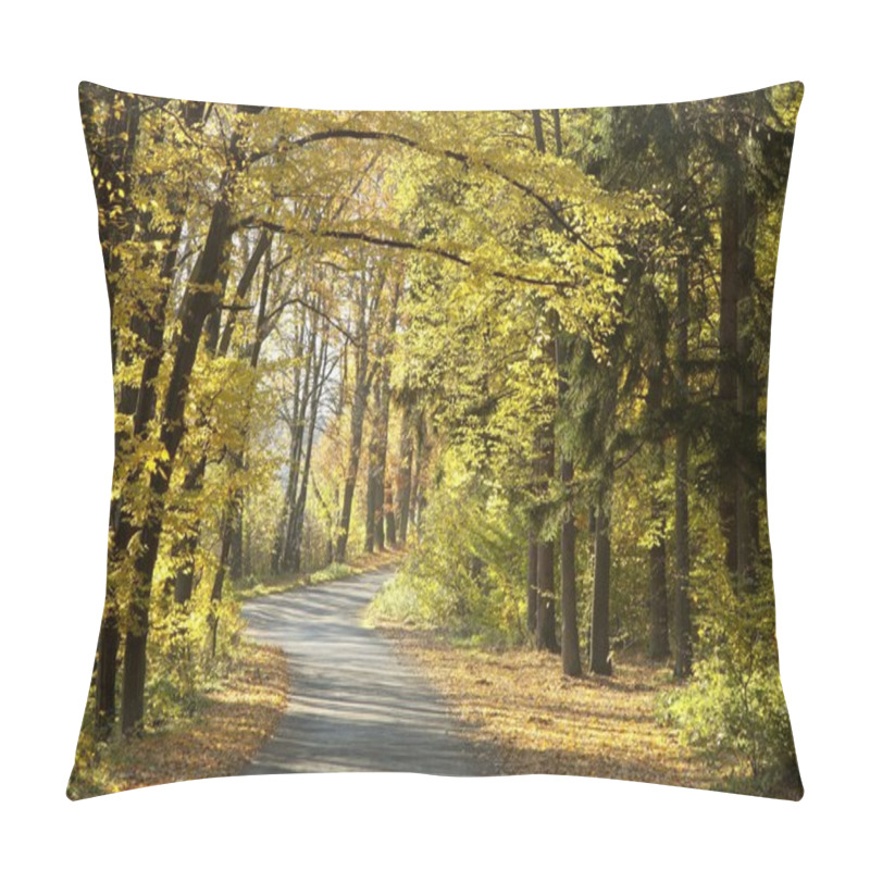 Personality  Path In Autumn Forest Pillow Covers