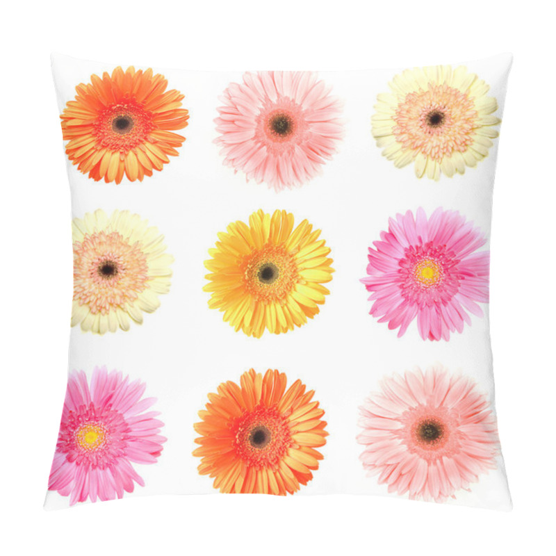 Personality  Different Colour Gerberas Pillow Covers