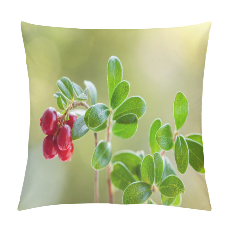 Personality  Red Bilberry  In Forest Pillow Covers