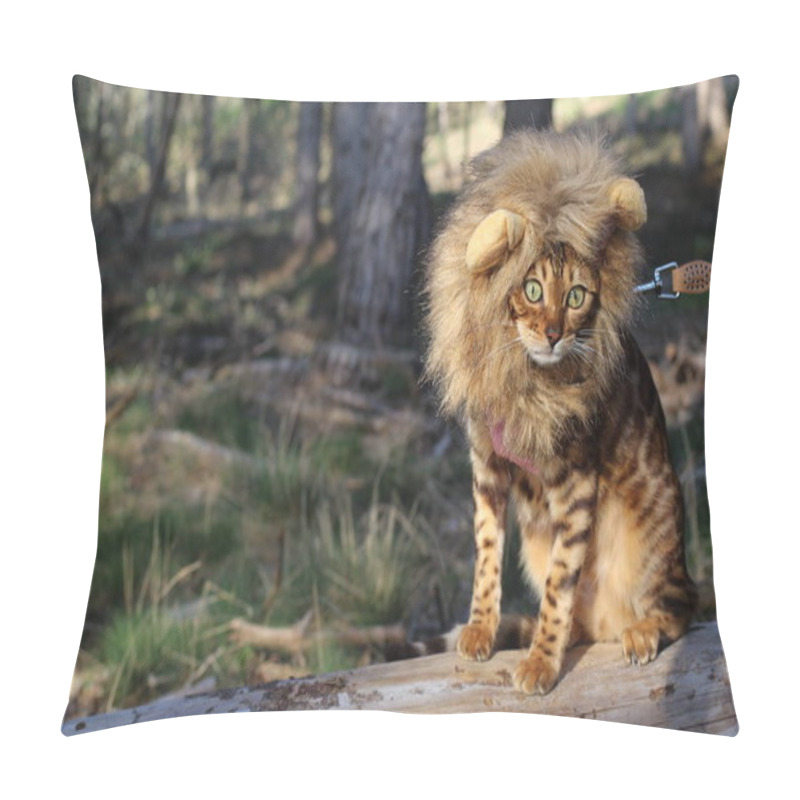 Personality  Comedic Outdoor Shot Of Cat With Wig Pillow Covers