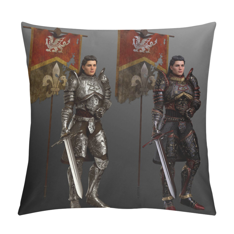 Personality  Medieval Fantasy Knight With Banner, Two Versions Pillow Covers