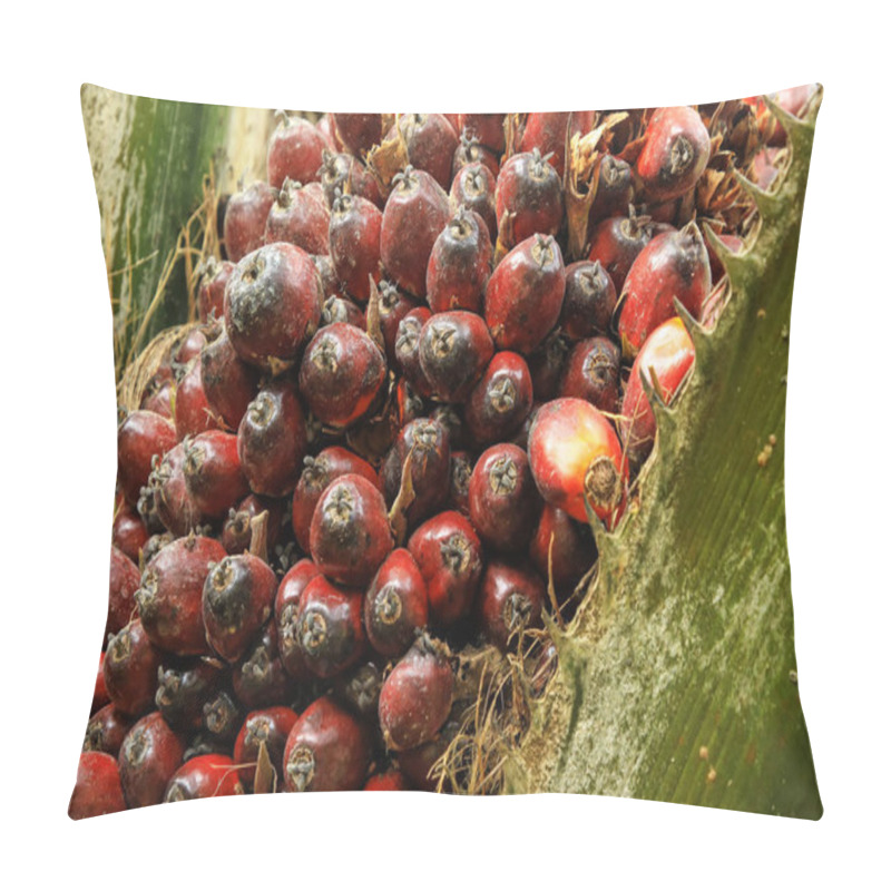 Personality  Close-up Of Oil Palm Fruit On A Tree Pillow Covers