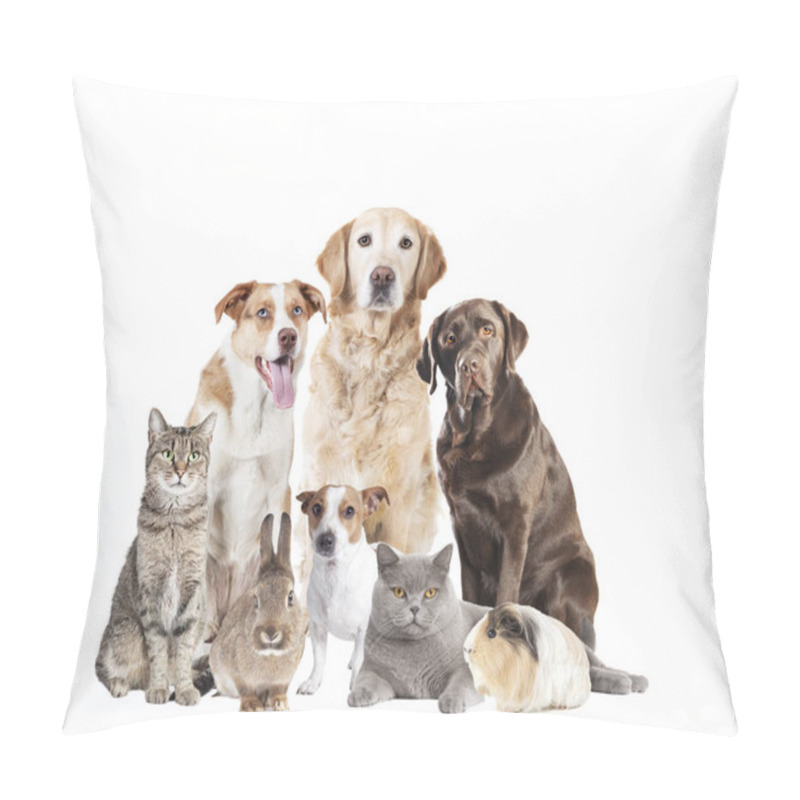 Personality  Different Dogs And Other Pets Sitting Isolated Against White Background Pillow Covers