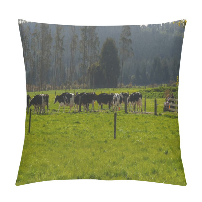 Personality  A Farmer On An ATV Brings In The Cows On A Dairy Farm In New Zealand Pillow Covers