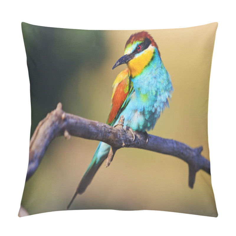 Personality  Condescending Glance An Exotic Bird Pillow Covers