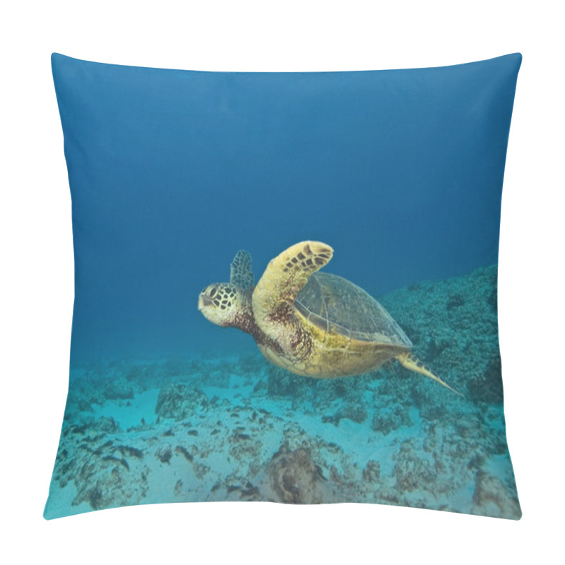 Personality  Tropical Reef Underwater Pillow Covers