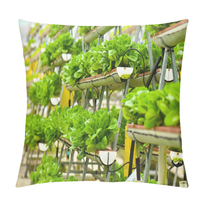 Personality  Urban Farming Technology Pillow Covers