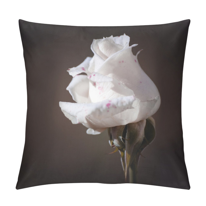 Personality  White Rose Pillow Covers