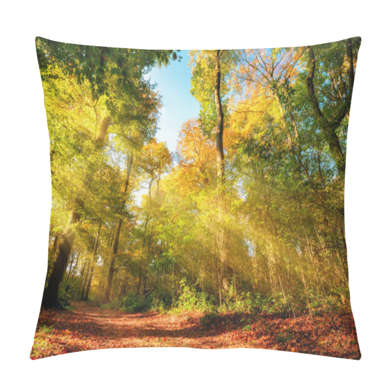 Personality  Colorful Autumn Forest Landscape With Warm Sun Rays Illumining The Foliage And A Path Leading Through The Trees Pillow Covers