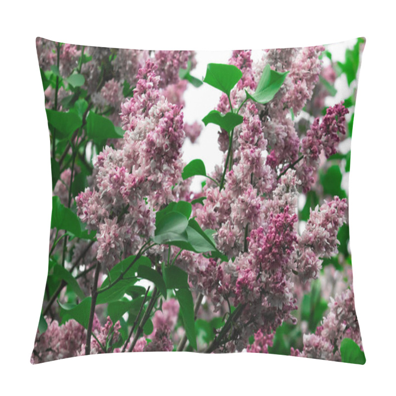 Personality  Delicate Pink Lilac Flowers Blooming On Branches, Captured In Close-up. An Elegant Spring Composition Highlighting Natural Beauty And Intricate Details. Pillow Covers