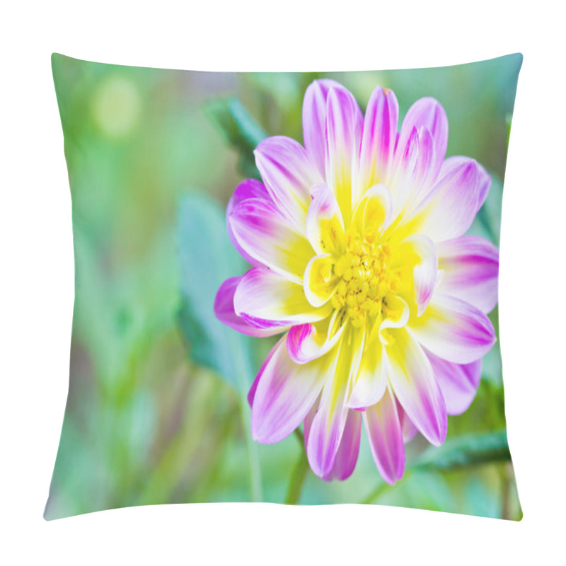 Personality  Dahlia Flower Pillow Covers