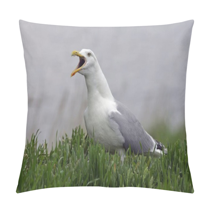 Personality  Screaming Herring Gull (Larus Argentatus) Pillow Covers