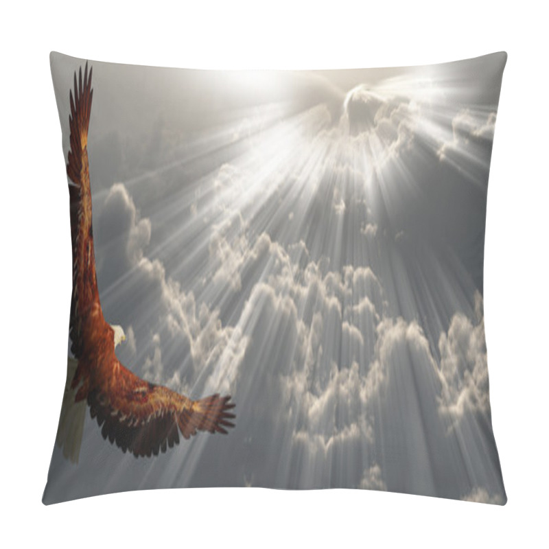 Personality  Eagle In Flight Above Tyhe Clouds Pillow Covers